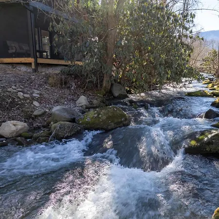 Honeybee Cottage , Pickleball Court, Creek, Wifi, Mountain Views, Starting At 69